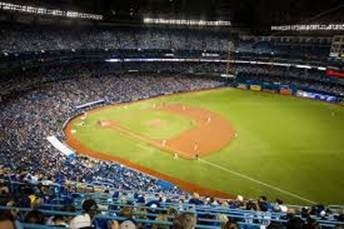 Professional Baseball Career – Ups & Downs